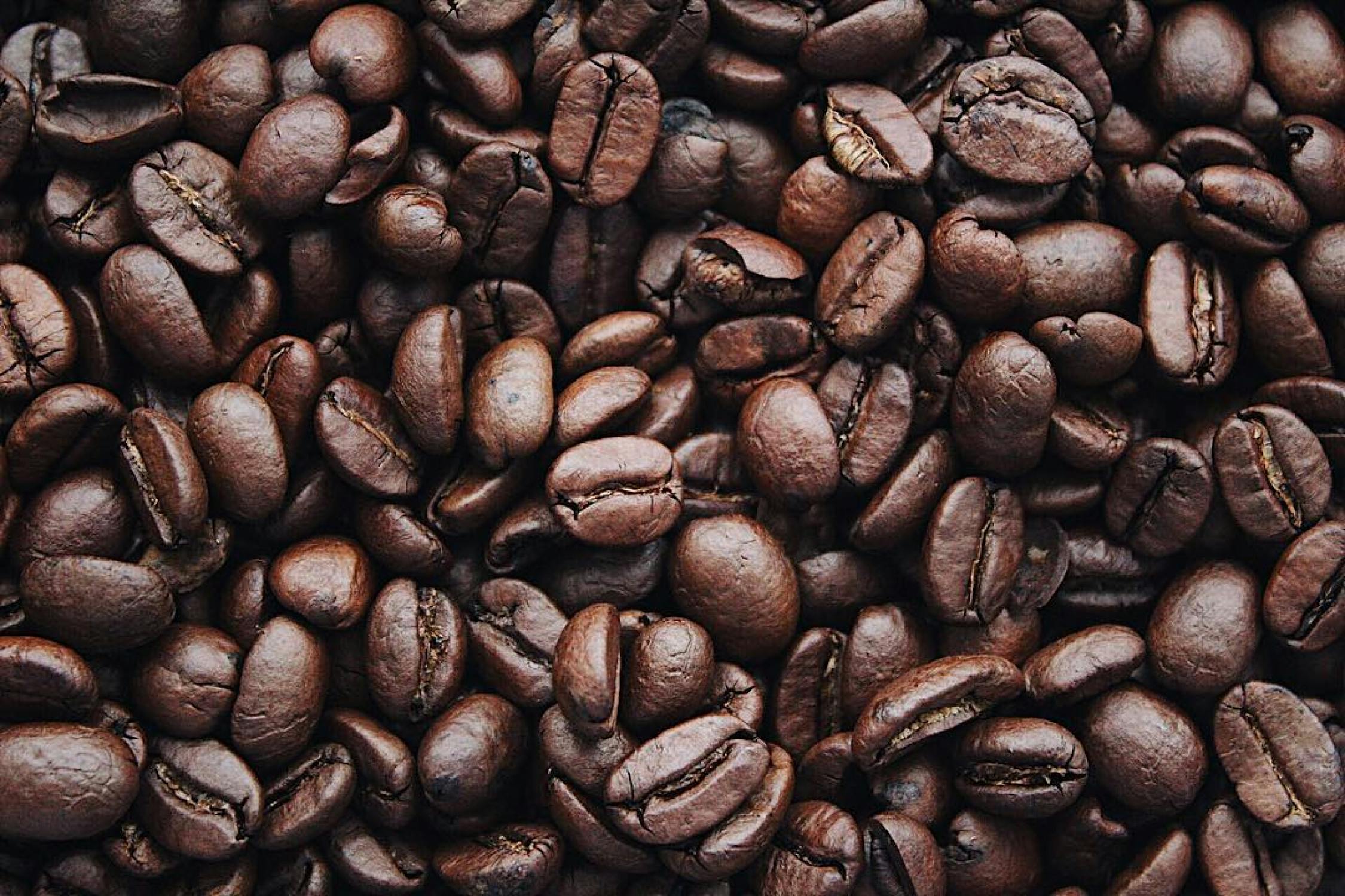Beyond the Bean: How the Green Coffee Company is Revolutionizing Colombia’s Coffee Industry