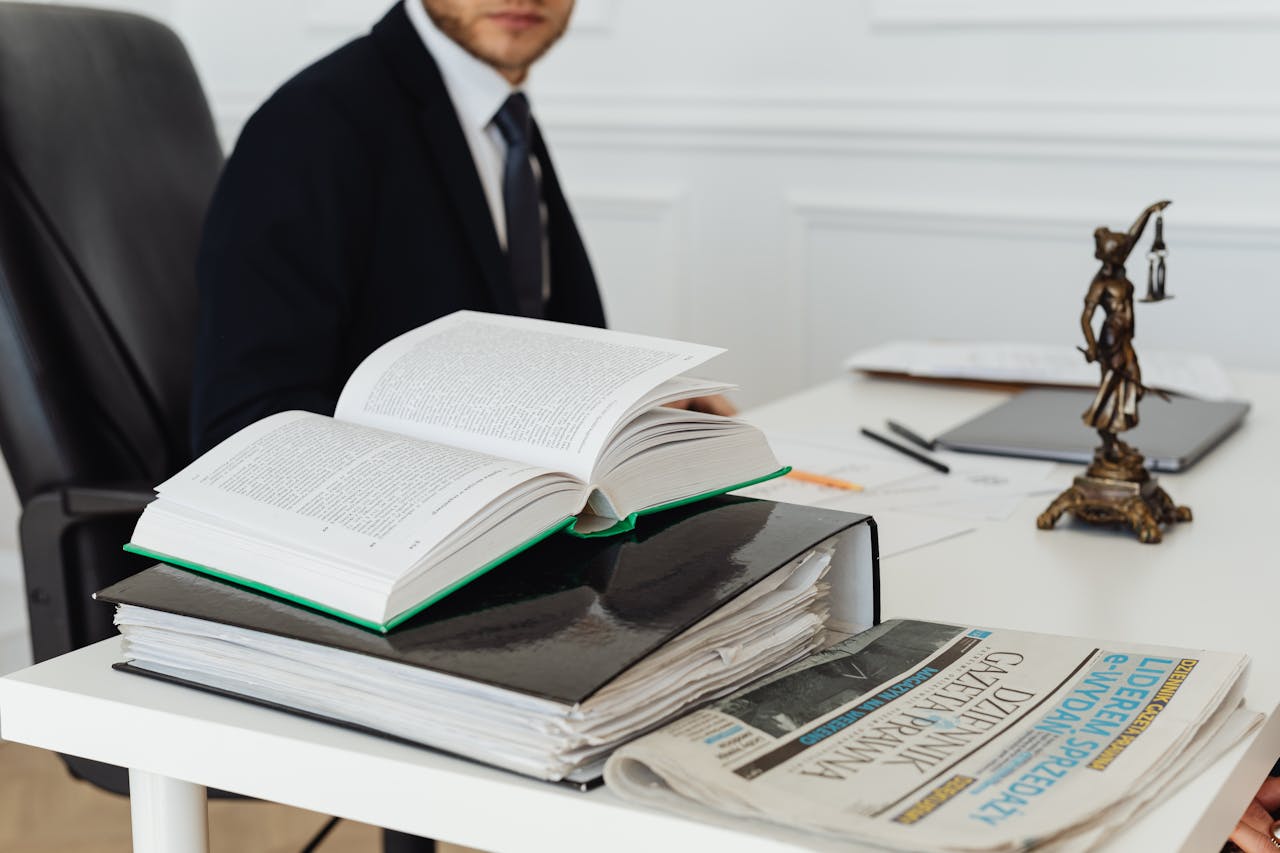 Fighting Bullies: Strategic Law and the Art of the "Lifestyle" Firm